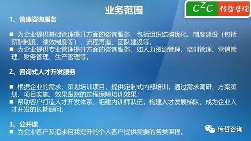 傳哲咨詢服務(wù)企業(yè)項(xiàng)目（2018版）信息咨詢服務(wù)解析